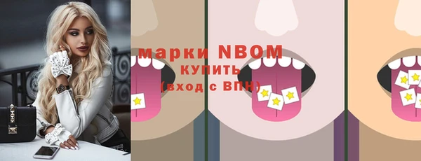 шишки Пересвет