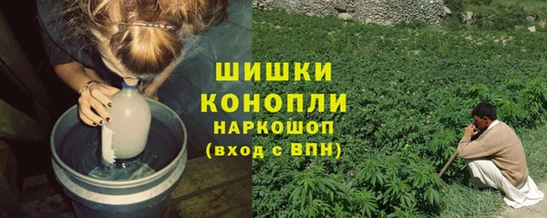 дмт Осинники