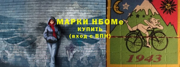 шишки Пересвет