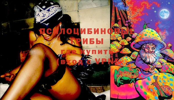 дмт Осинники