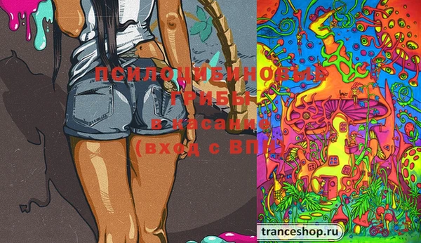 герыч Пестово